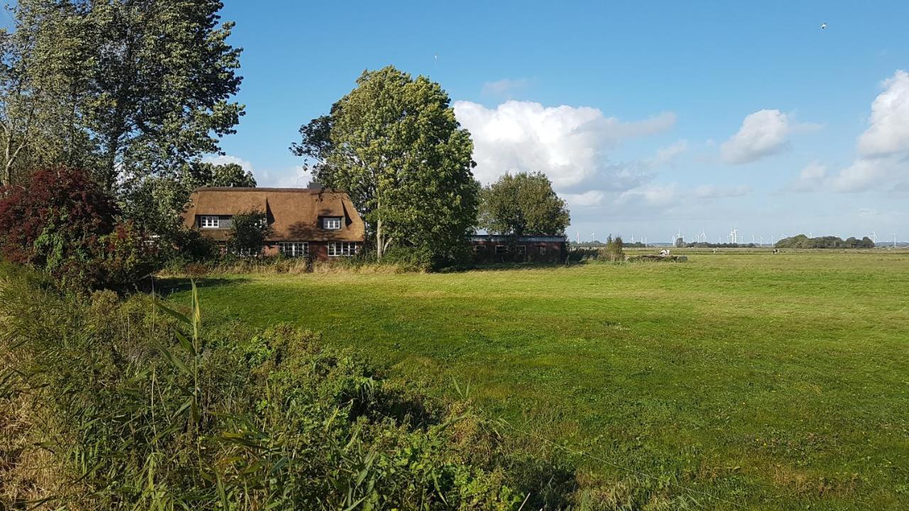 Marschkieker - Kleiner Deichhof Hattstedtermarsch